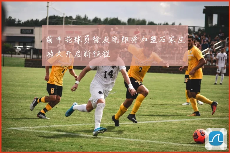 前申花球员徐友刚即将加盟石家庄功夫开启新征程