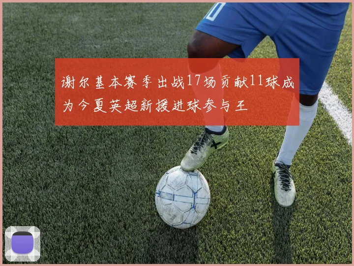 谢尔基本赛季出战17场贡献11球成为今夏英超新援进球参与王