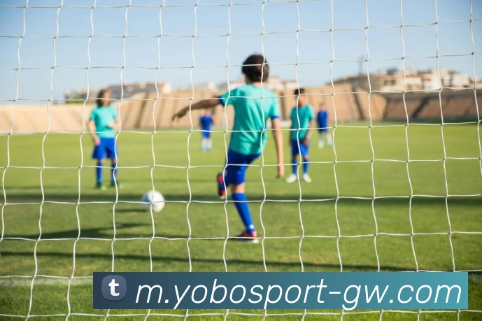 yobo体育平台生态图